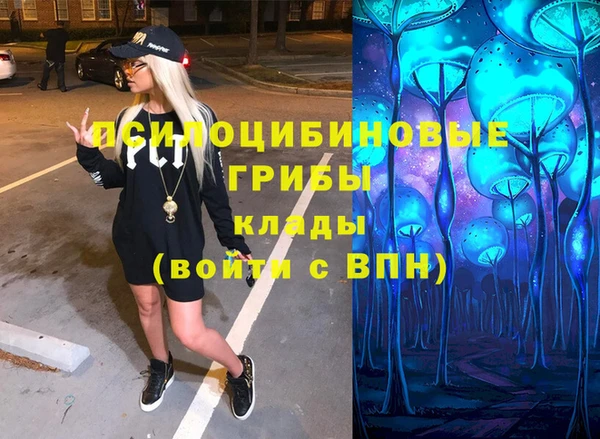 крисы Белоозёрский
