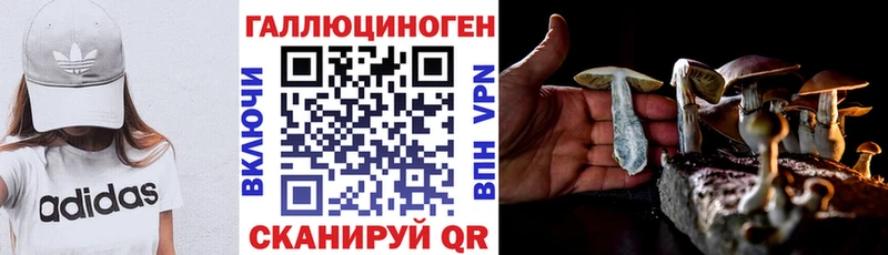 Псилоцибиновые грибы Cubensis Краснозаводск